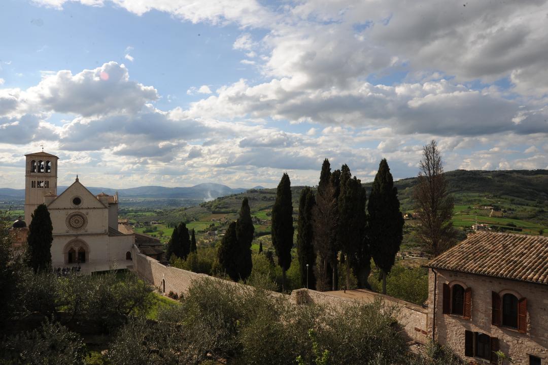 Vista panoramica su Assisi con tronco di albero in primo piano e, sullo sfondo, la Basilica di San Francesco da cipressi e colline verdi