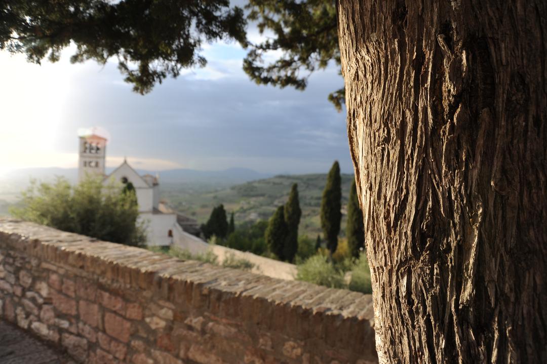 Vista panoramica su Assisi con la Basilica di San Francesco circondata da cipressi e colline verdi sotto un cielo nuvoloso