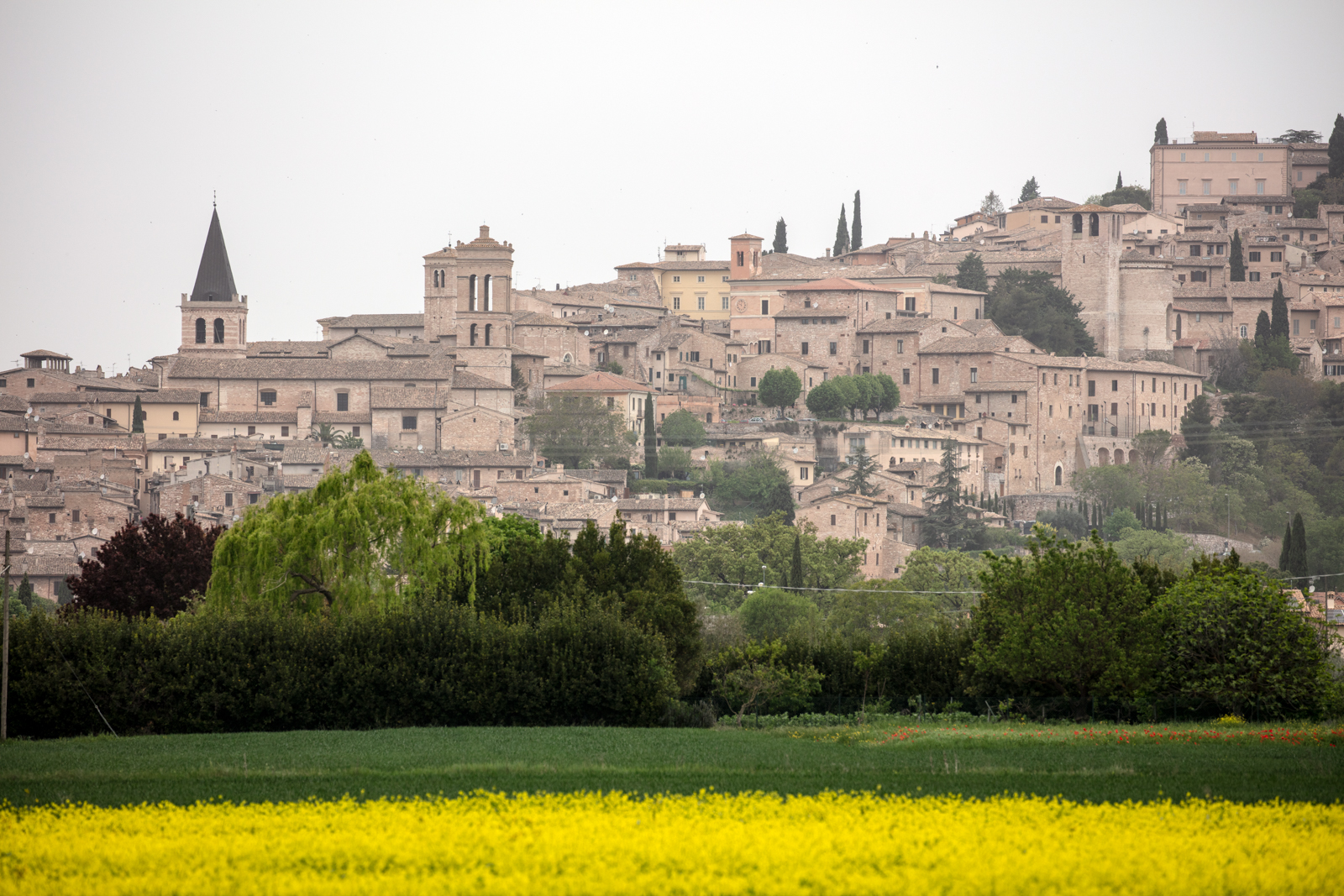 Spello