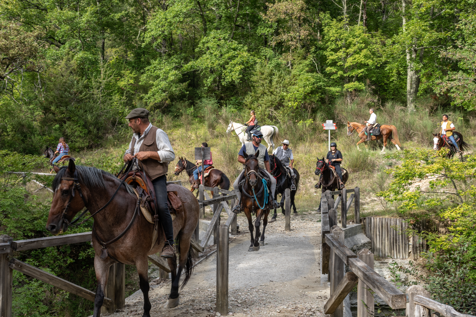 La cavalcata di Satriano