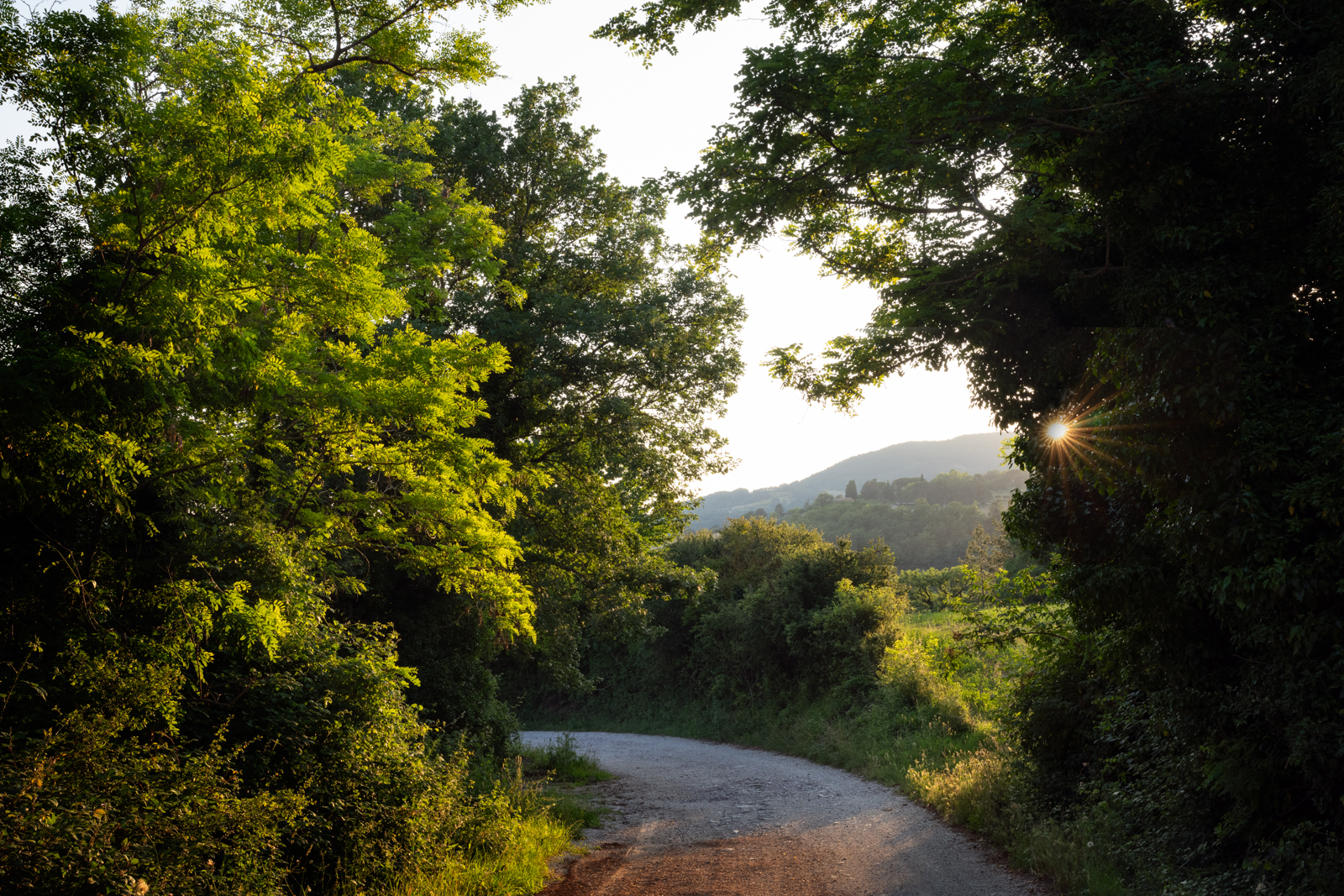 Scorcio di un sentiero