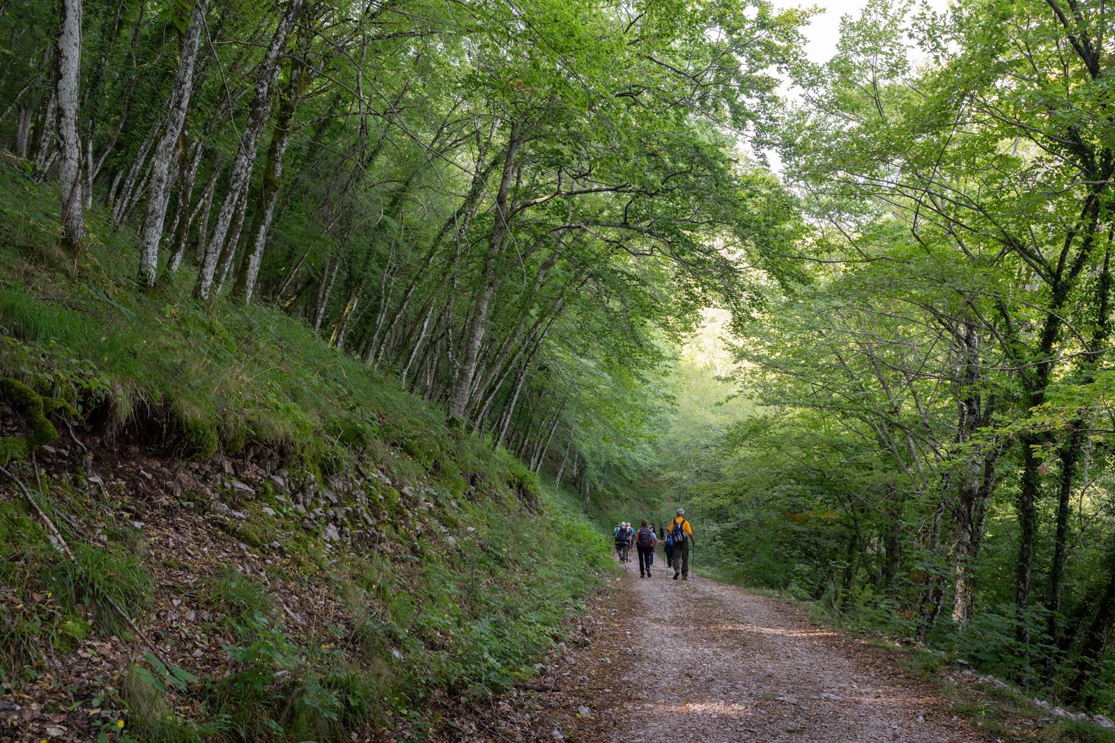 Forra di Fosso Marchetto