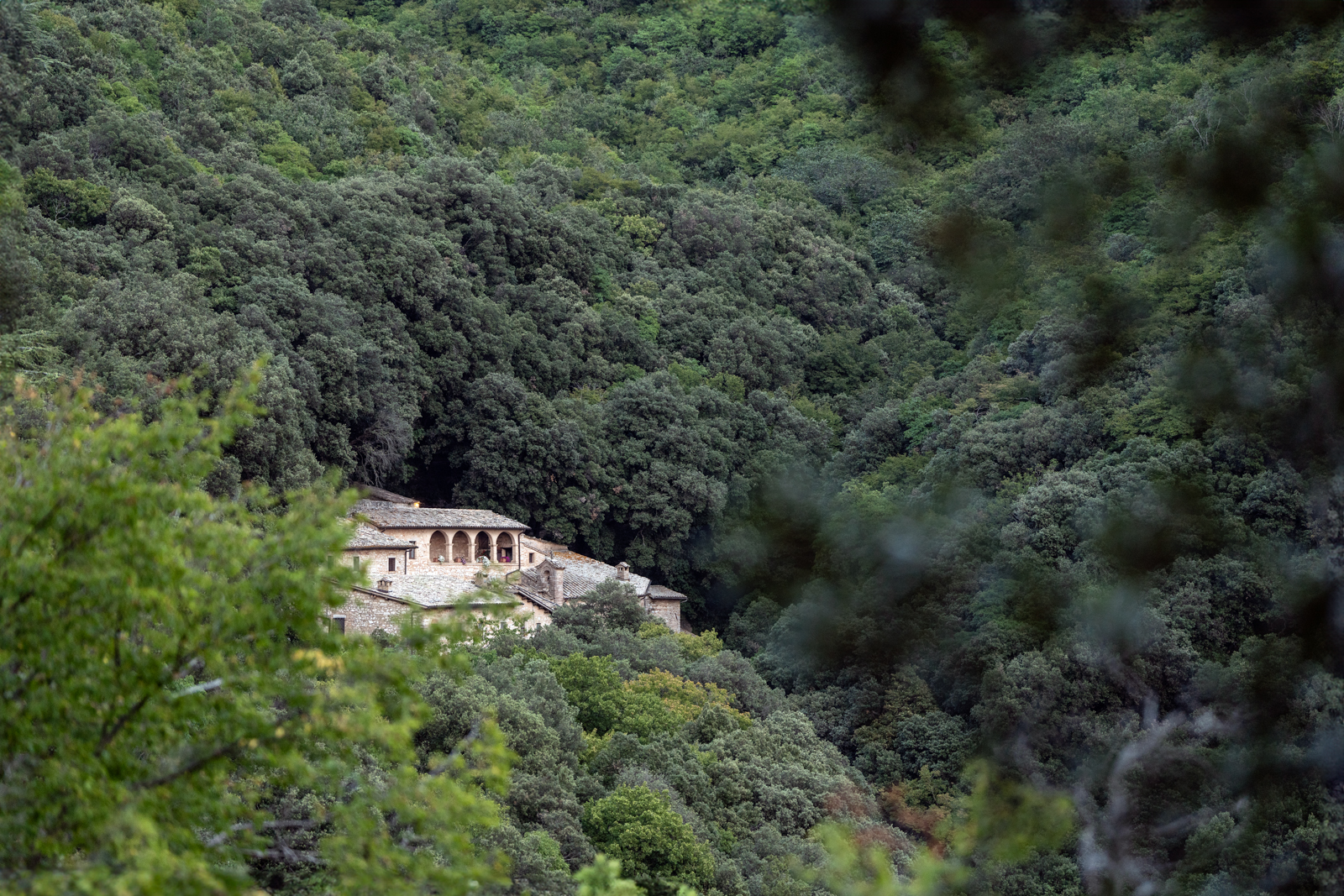 Titolo: Storia, natura e cultura