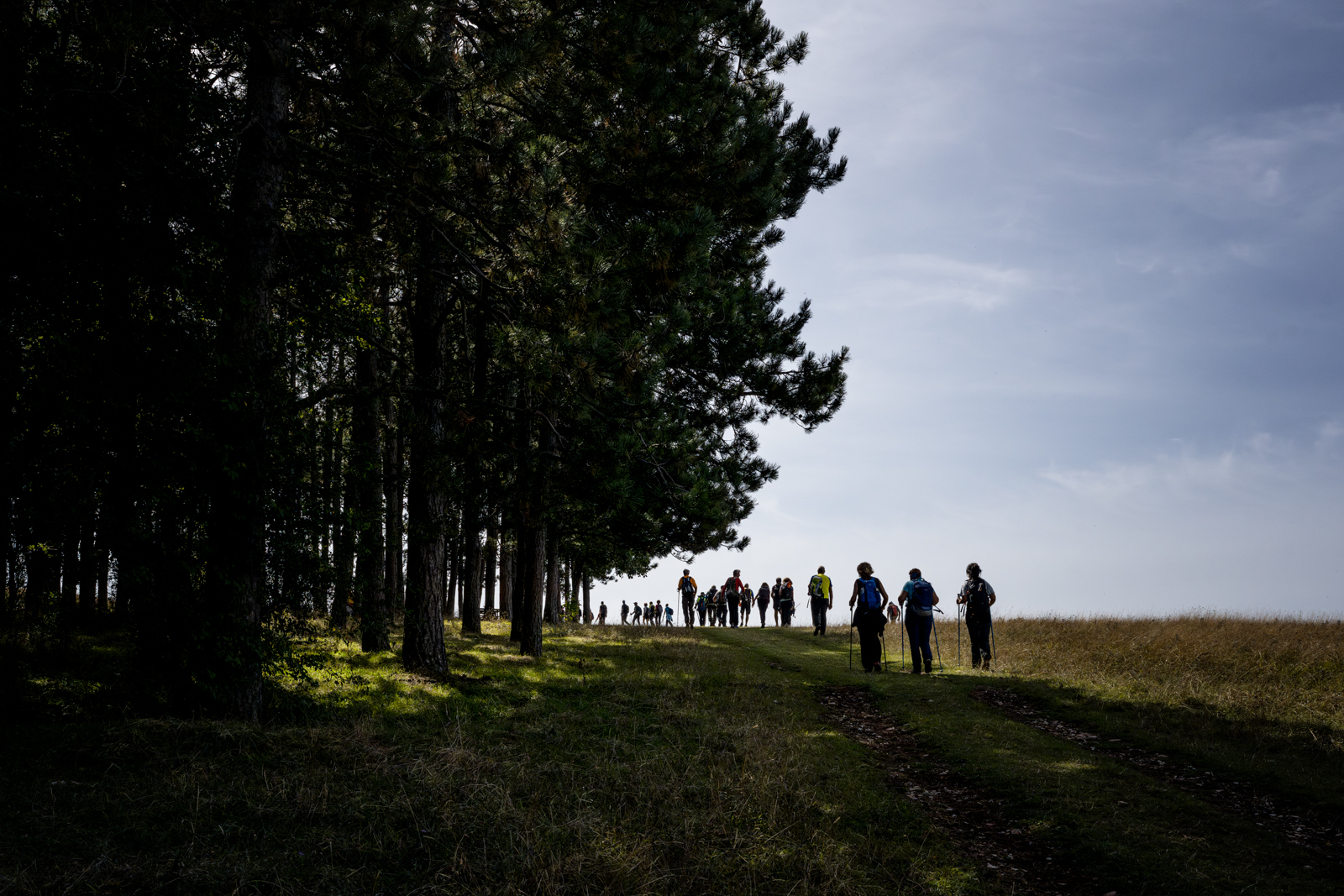 Titolo: Percorsi di visita e itinerari