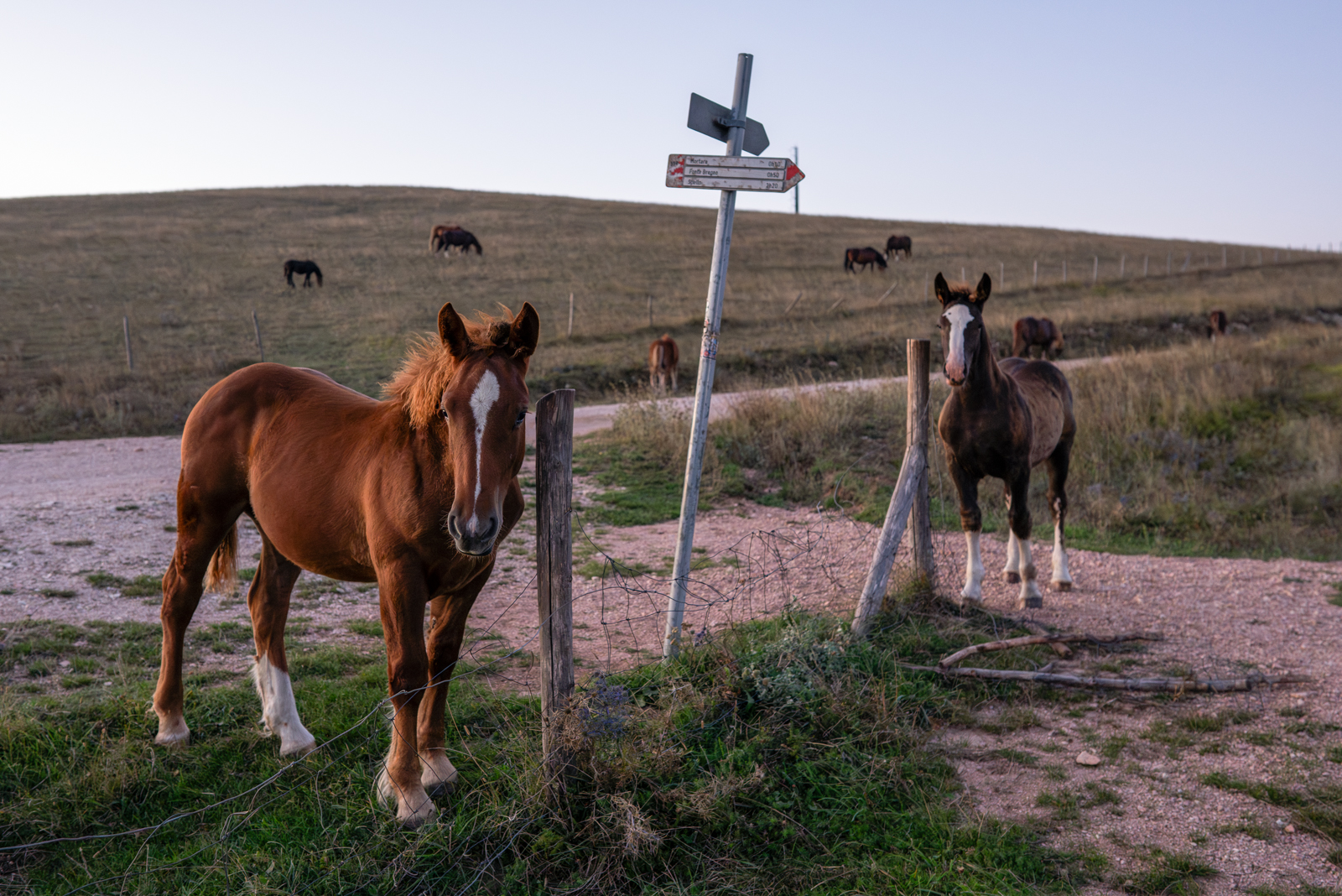 Discovering Mount Subasio