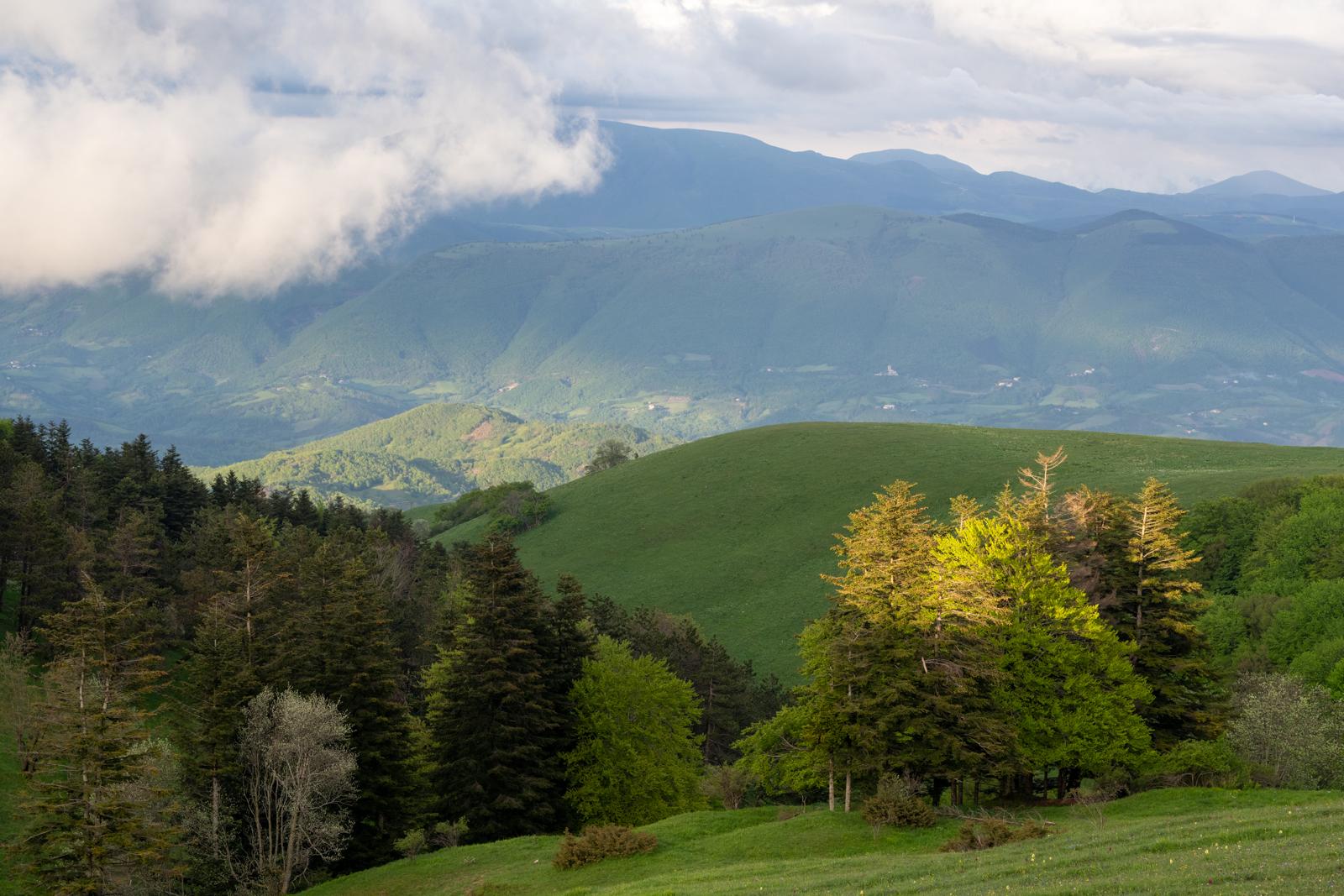 Panorama of Mount Subasio Park