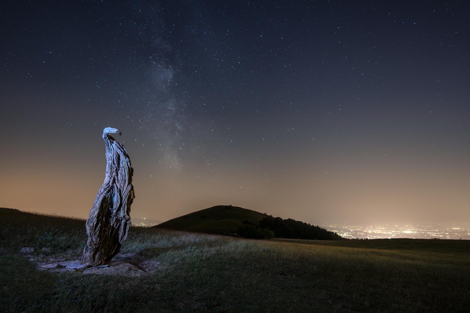 Sculptures by night in the Park of Mount Subasio