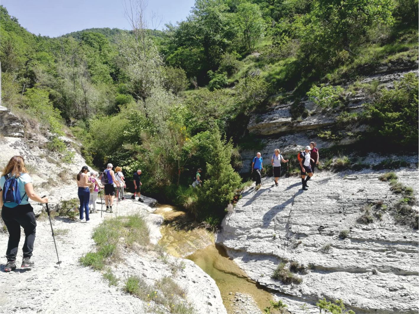 Hike in the park's gorge