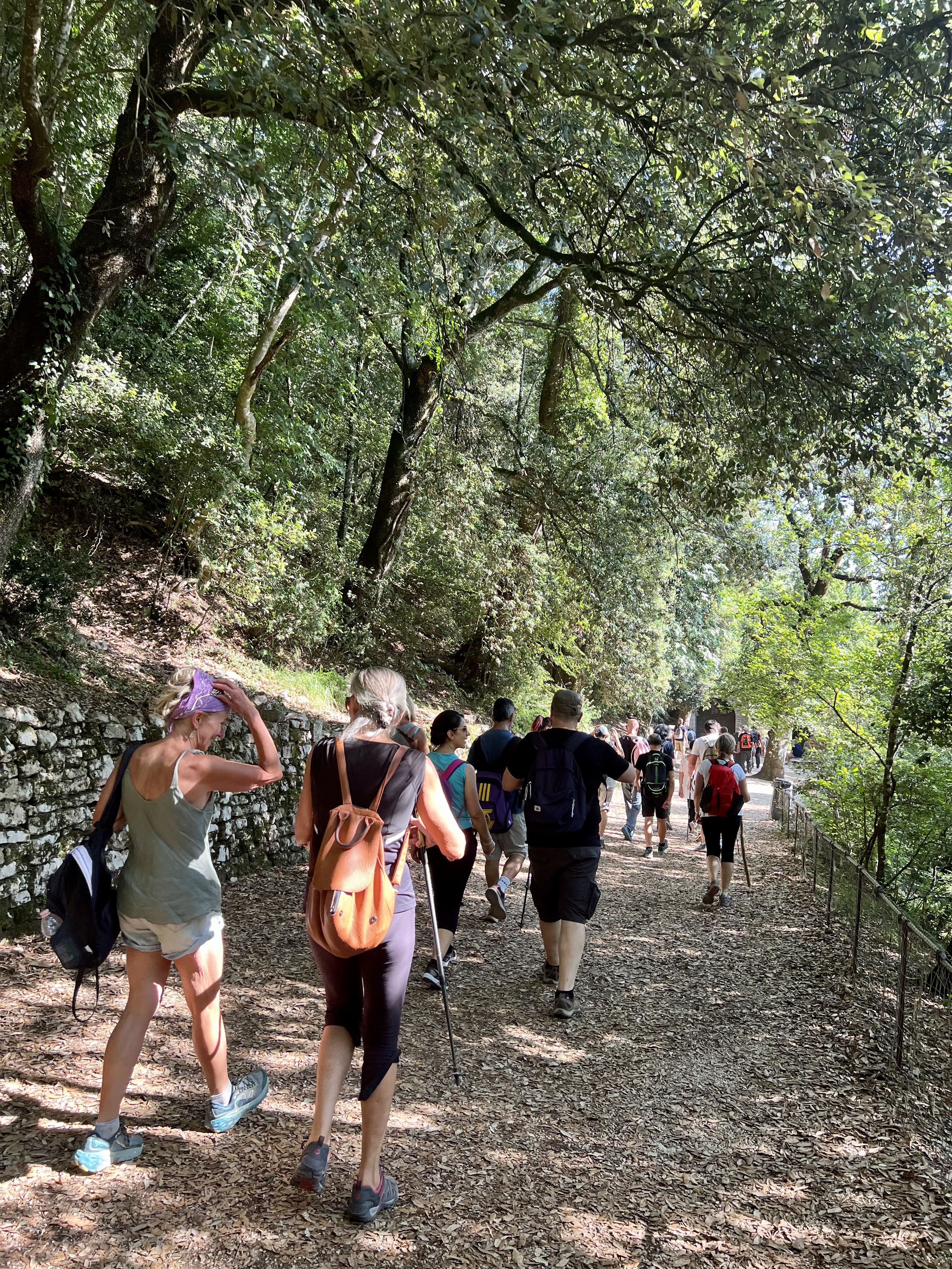 Summer hike in the Mount Subasio Park